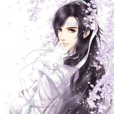 多位省委书记省长会见王传福